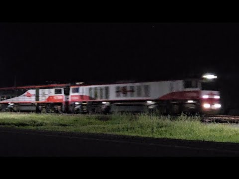 7MA9 SCT down "Dark Ghost #2" (CSR CSR SCT SCT), Laverton to Penfield, 2130, 28/9/25, Murtoa VIC 