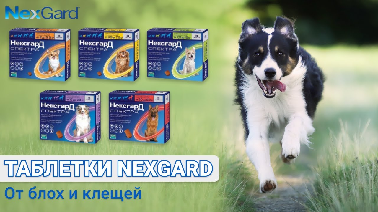 Нексгард Д Спектра Для Собак Купить