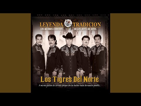Videoclip de Las Novias Del Traficante — Los Tigres del Norte