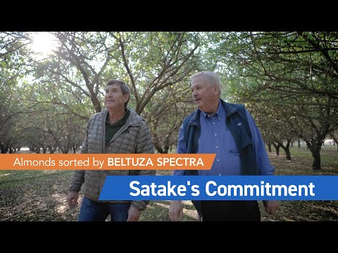 Almonds sorted by BELTUZA SPECTRA "Satake's Commitment"