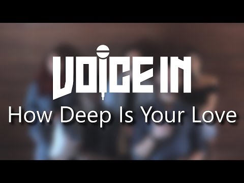 Voice In -  How Deep Is Your Love - Calvin Harris & Disciples (A Cappella Cover)