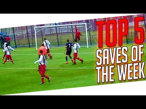 TOP 5 - Best Goalkeeper Saves I WEEK #31 2015