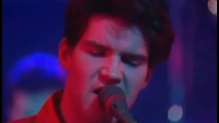 Lloyd Cole and The Commotions - Patience (Live)