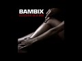 Bambix - Bleeding in a Box (2008) - Full Album #fullalbum #punkrock #NL