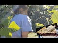 Blackberry Picking with Hadassah (and making pie too!)