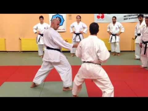 Judo Karaté Club, stage technique karaté du 10.10.2013 par Vincent Longagna