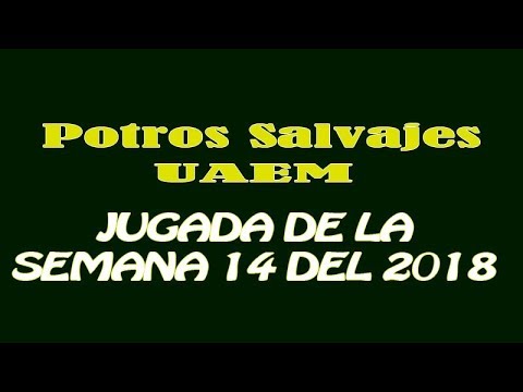 Jugada de la semana 14 del 2018