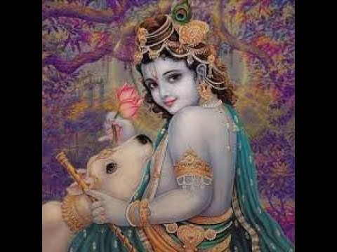 SB 4.6.48 by H.G. Aniruddha Chandra Das