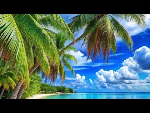 Beautiful Beach: Sunrise to Sunset (  4K Nature Film)