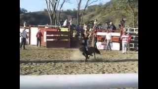 preview picture of video 'Rodeio em poney - wwww.topcavalos.com.br - Itaúna /MG'