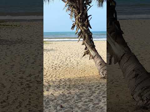 boca de uchire Anzoategui Venezuela 🇻🇪 #bocadeuchire #istmocaribe #anzoategui #uchireños #shorts