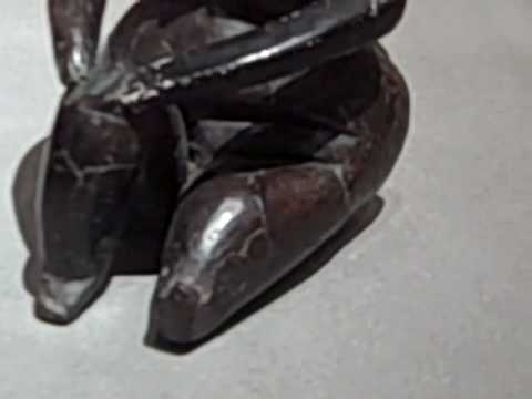 The Lost World of Old Europe: The Danube Valley, 5000  3500 BC