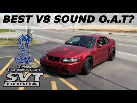 2003 Ford Mustang SVT Cobra 4.6L Supercharged V8 Exhaust Sound w/ Headers & Borla S-Type!