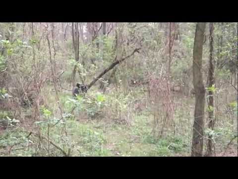 2012.04.15. 1944.Keleti-Beszkidek től a Berecki-Havasokig