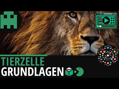 Tierzelle Grundlagen │Biologie Lernvideo [Learning Level Up]
