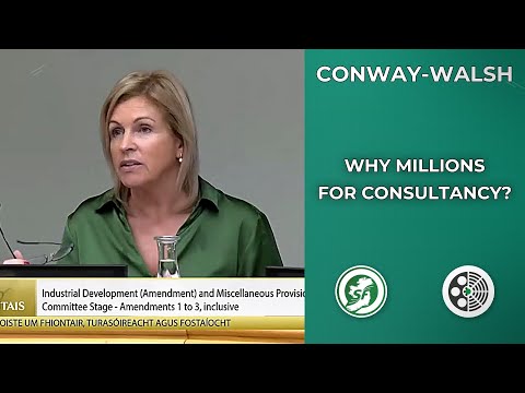 Rose Conway-Walsh: Why Are Consultancy Limits Jumping to Millions?