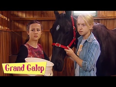 Grand Galop 217 - Drew, reviens | HD | Épisode Complet