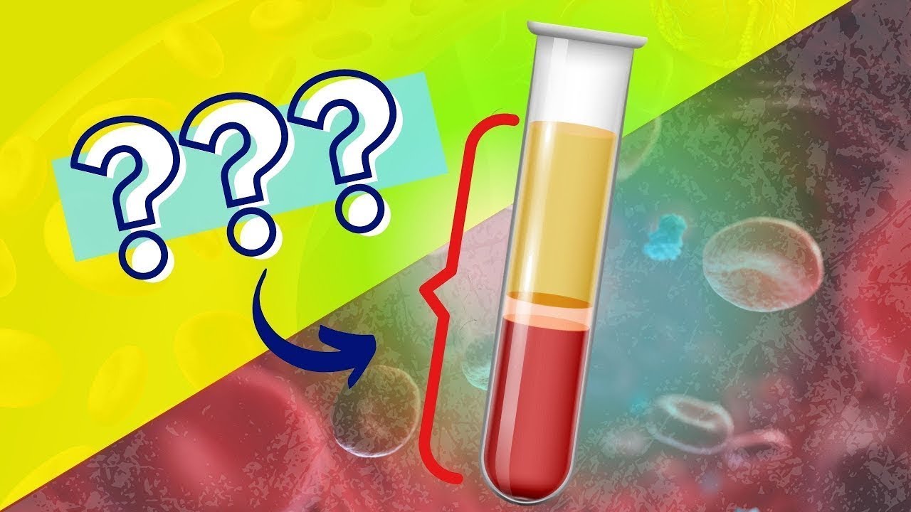 What’s difference between blood and plasma?