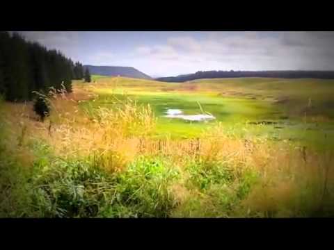 Pensiuni Buzau - Cazat.ro