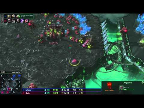 (HD985) Lilbow vs Solar - PvZ - Heart of the Swarm [FR]