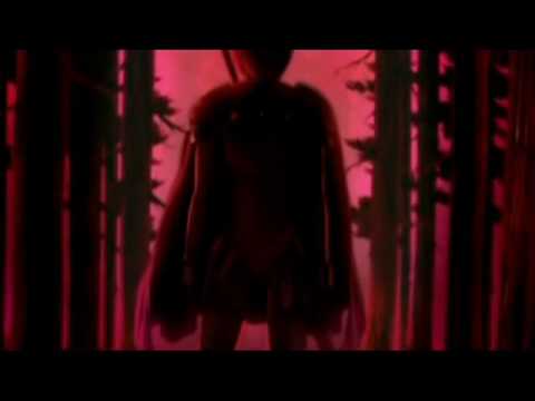 claymore amv - stricken (disturbed)