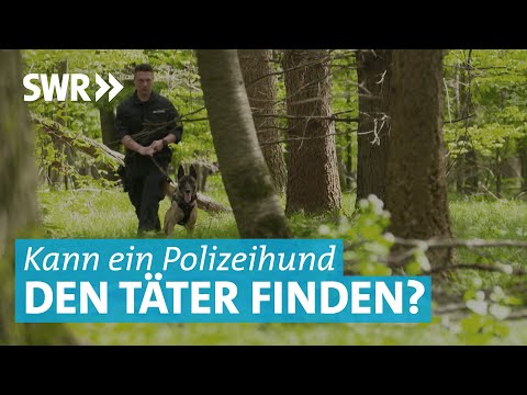 Spürhunde und Schutzhunde im Einsatz: So werden Polizeihunde in Göppingen ausgebildet
