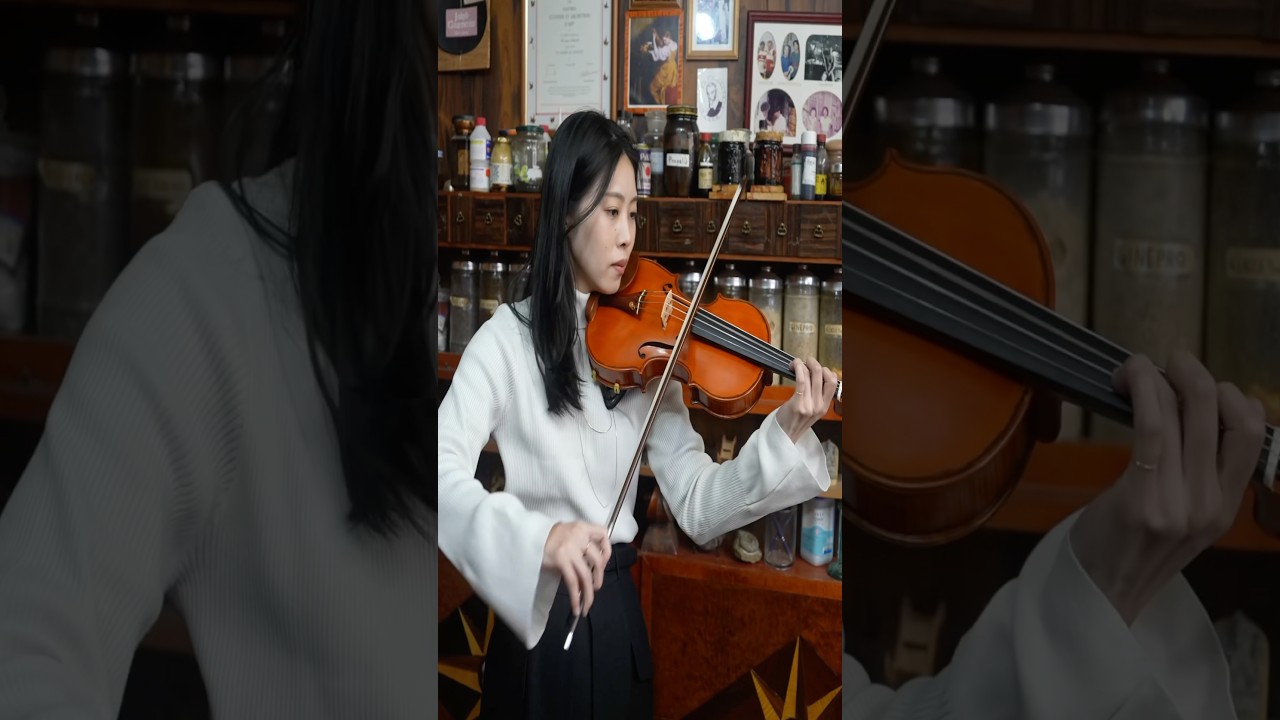 The making of a violin. A high-end Japanese violin handcrafted over six months by a master luthier.