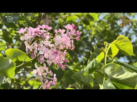 🌡 Непогода приближается к Приморью