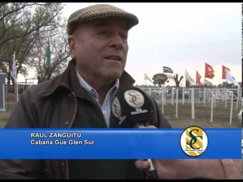 RAUL ZANGUITU - Cabaña: Gue Glen Sur - Monasterio Tattersall - Huanguelén - 06/09/2013