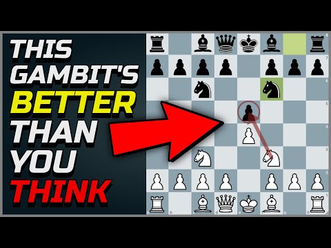 The Halloween Gambit - Ideas and Concepts | The Best Win Rate in the Four Knights Game!