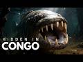 Inside Africa S Most Dangerous Jungle Where Survival Is Brutal