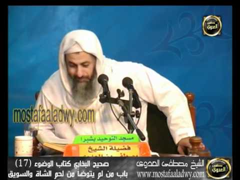  شرح صحيح البخارى   كتاب الوضوء 17 