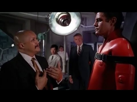 download lagu mp3 mp4 O Cocoon, download lagu O Cocoon gratis, unduh video klip O Cocoon