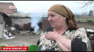 Семья Махаури из Бамута сделала ставку на ведение домашнего хозяйства