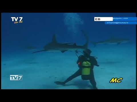 Tv7 con Voi del 10/3/2020 - Andiamo a Cuba (2 di 3)