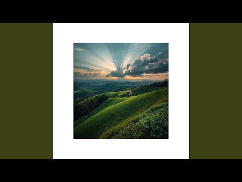 Just Tell Me You Love Me