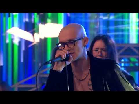 MACAK U KAMENU - ZLATNI PAPAGAJ  - 14.11.2022. - INSTA TV