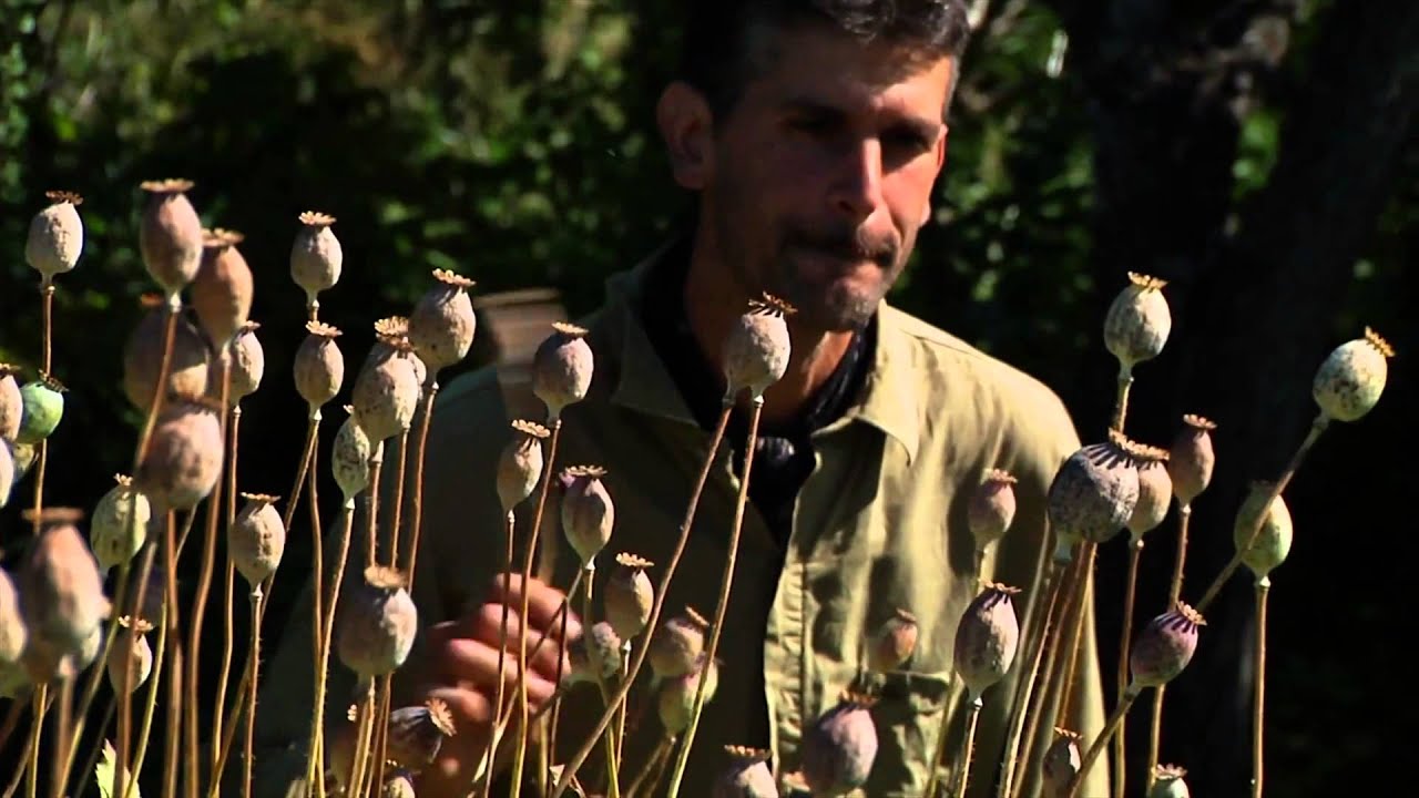 Le Semeur de Julie Perron