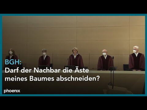 BGH: Darf der Nachbar die Äste meines Baumes abschneiden?