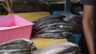 IKAN TERUBUK MASIN SARAWAK