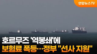 호르무즈 '역봉쇄'에 보험료 폭등…정부 선사 지원 / 연합뉴스TV (YonhapnewsTV)