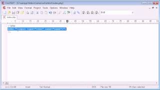 Beginner PHP Tutorial - 11 - Output HTML Using echo/print