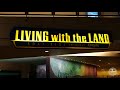 EPCOT Living With The Land FULL Ride At Night In 4K Walt Disney World Orlando Florida April 2021