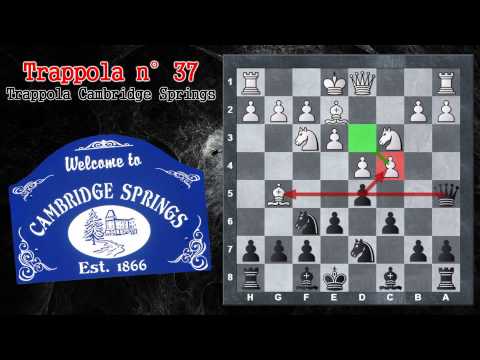 Trappole in Apertura 37 - Scacchi - Trappola Cambridge Springs - Gambetto di Donna Rifiutato