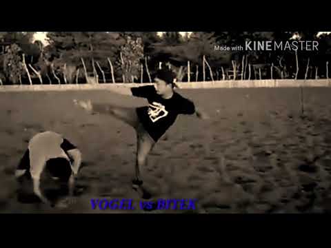 Capoera vogel vs bitek