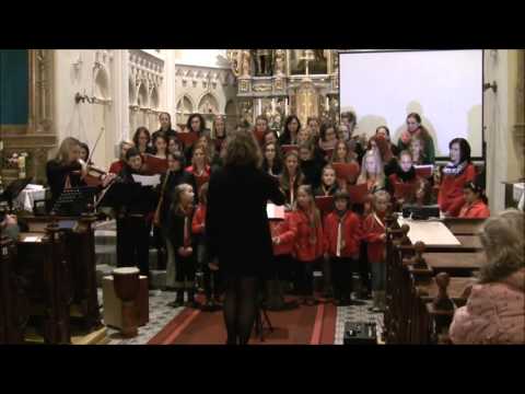 Zde jsem chci Tě chválit, Koncert k 20. Výročí Scholy v Hlučíně