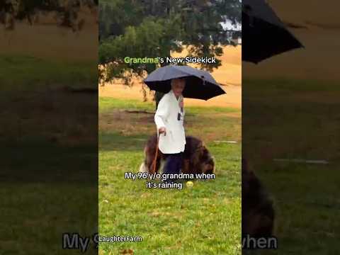 He’s Got a Soft Spot for Grandma.#dog #dogs #grandma #love #pets #pet #dogmoms #dogster #dogmama