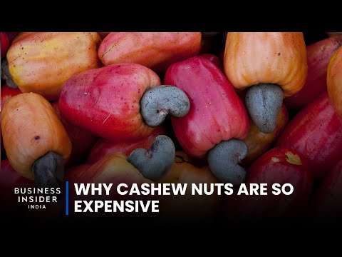 Why Cashew Nuts Are So Expensive | So Expensive