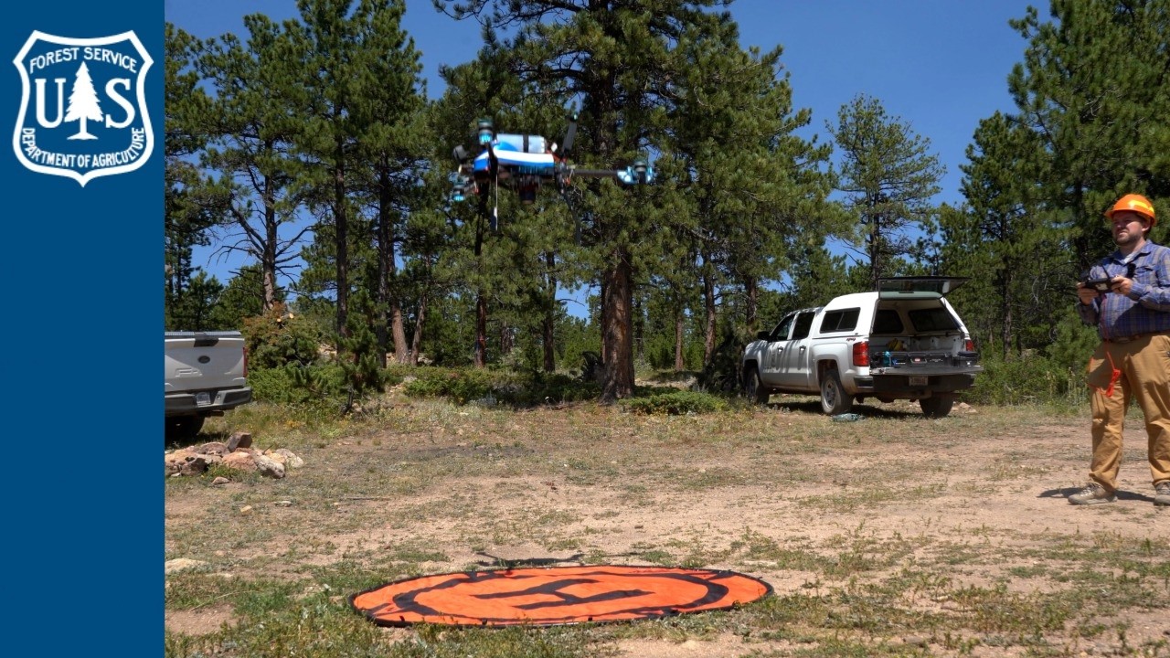 Eyes in the Sky: Monitoring Forests with Drones