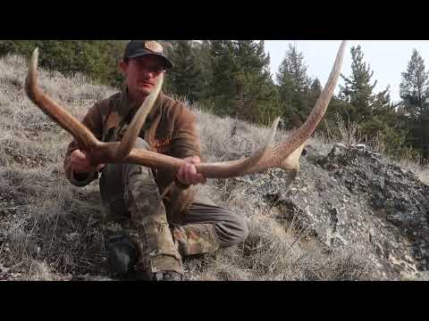 2022 Elk Browns Brandon Pitcher Part 4 ( Glassing up a stud )